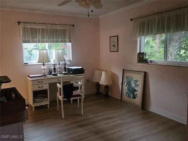 office featuring ceiling fan, ornamental molding, wood finished floors, and baseboards