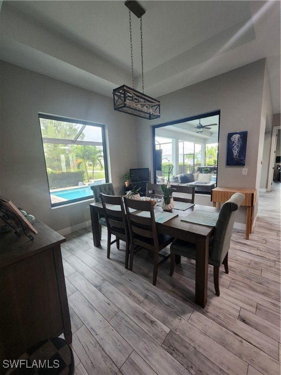 dining area featuring plenty of natural light, ceiling fan, and light hardwood / wood-style floors