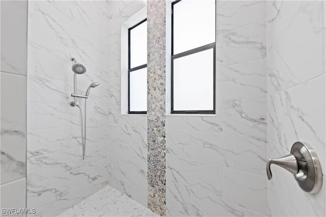 bathroom with tiled shower and a wealth of natural light