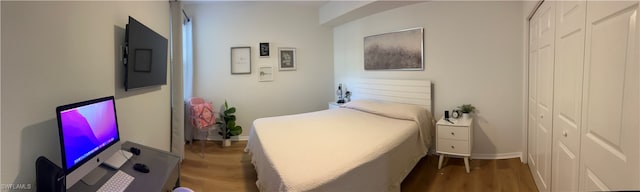 bedroom featuring a closet and wood-type flooring