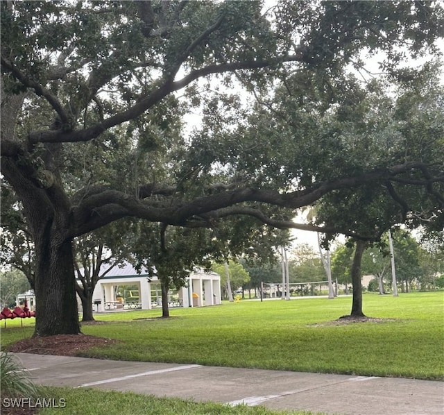 view of property's community featuring a lawn