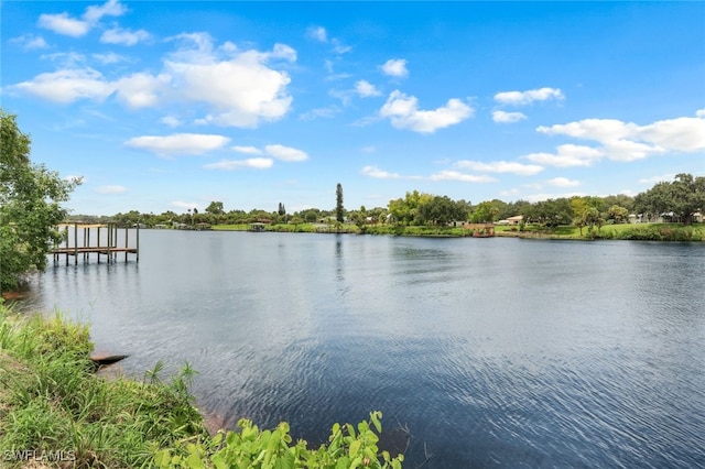 view of water feature with a dock