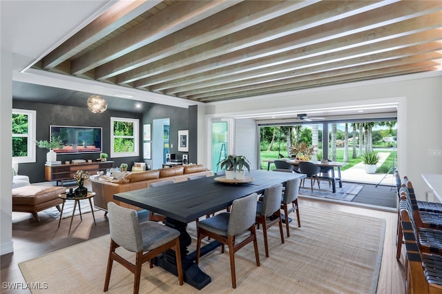 dining space with hardwood / wood-style floors, ceiling fan, and beam ceiling