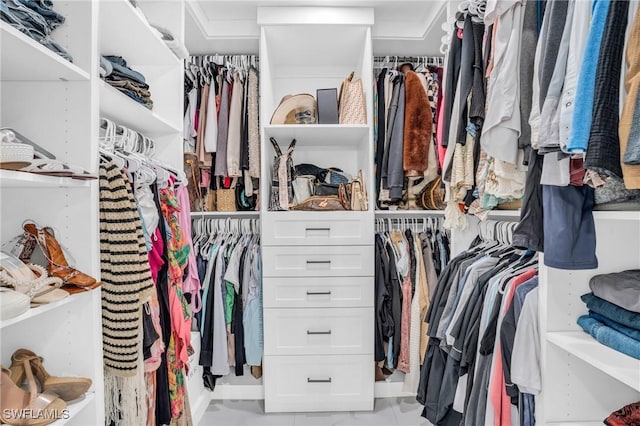 view of spacious closet