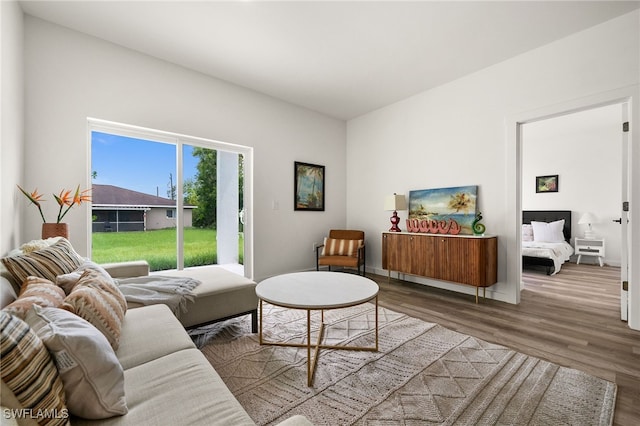 living room with hardwood / wood-style floors