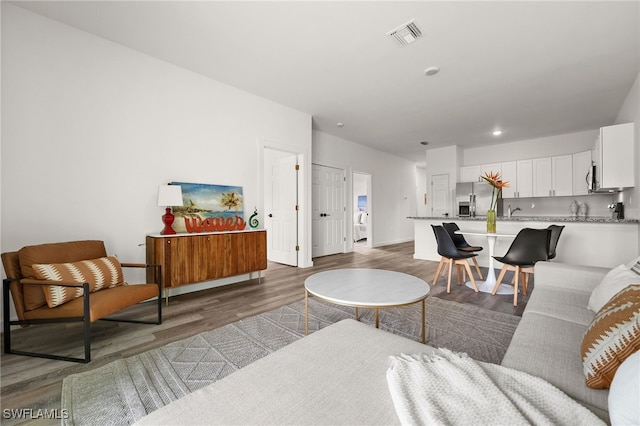 living room with sink and wood-type flooring