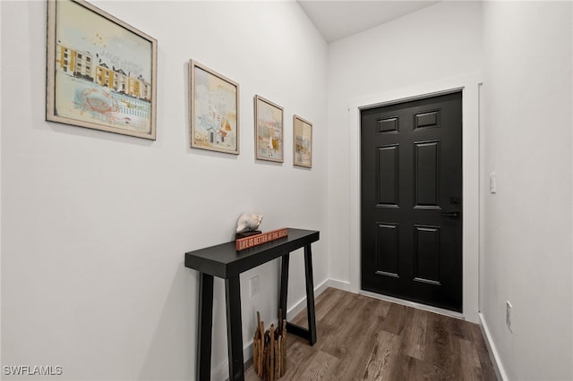 foyer entrance featuring dark hardwood / wood-style floors