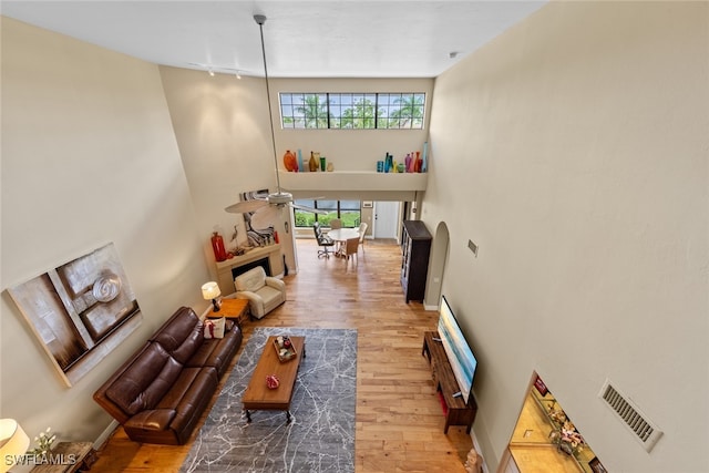 living room with hardwood / wood-style flooring