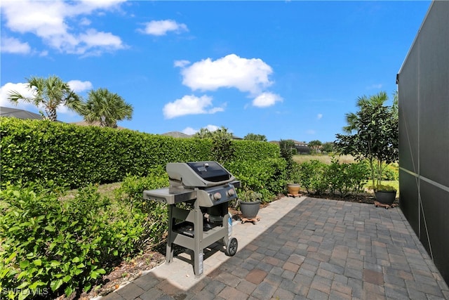 view of patio / terrace with a grill