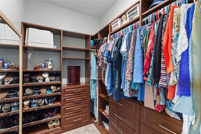 view of spacious closet