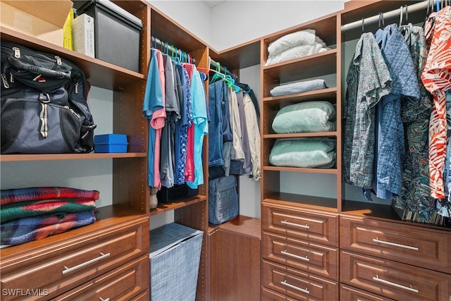 view of walk in closet