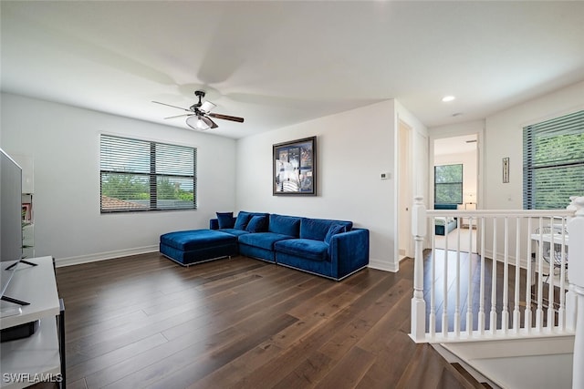 living room featuring ceiling fan and dark hardwood / wood-style floors