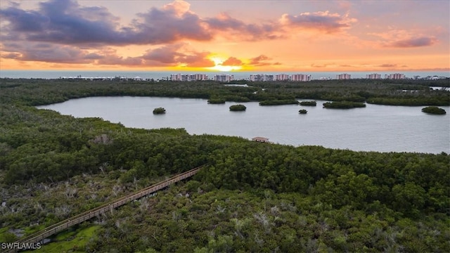 254 Audubon Blvd, Naples, FL 34110 - property view of water with a view of trees