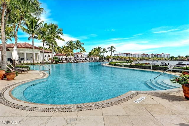 view of swimming pool with a patio area