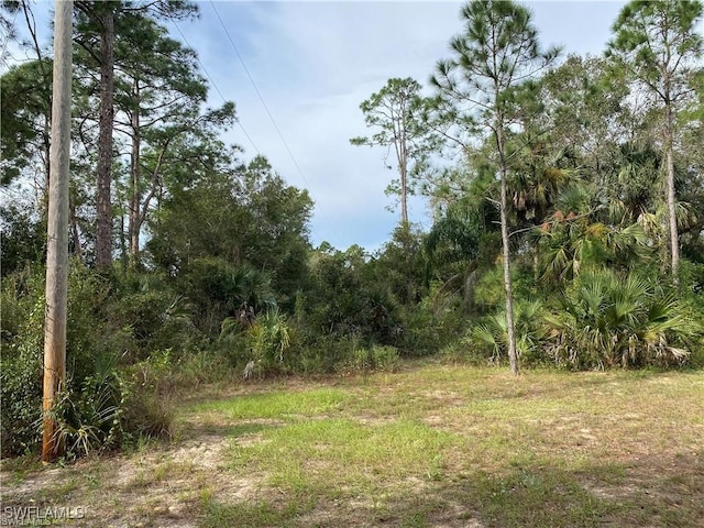 2905 Ashburn St, Lehigh Acres FL, 33972 land for sale