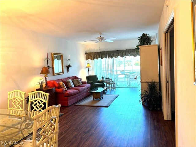 living room with ceiling fan and dark hardwood / wood-style flooring