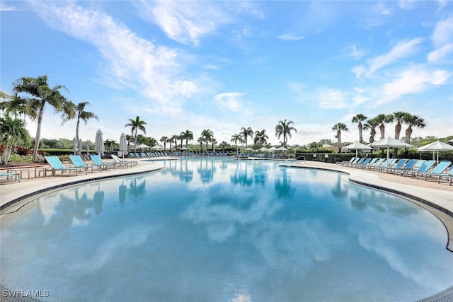 view of swimming pool with a patio