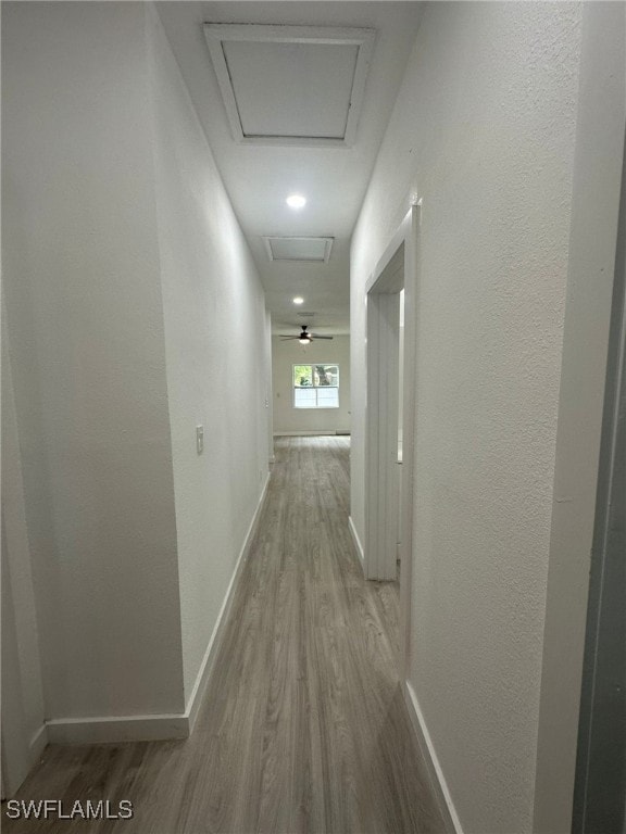 hall featuring wood-type flooring