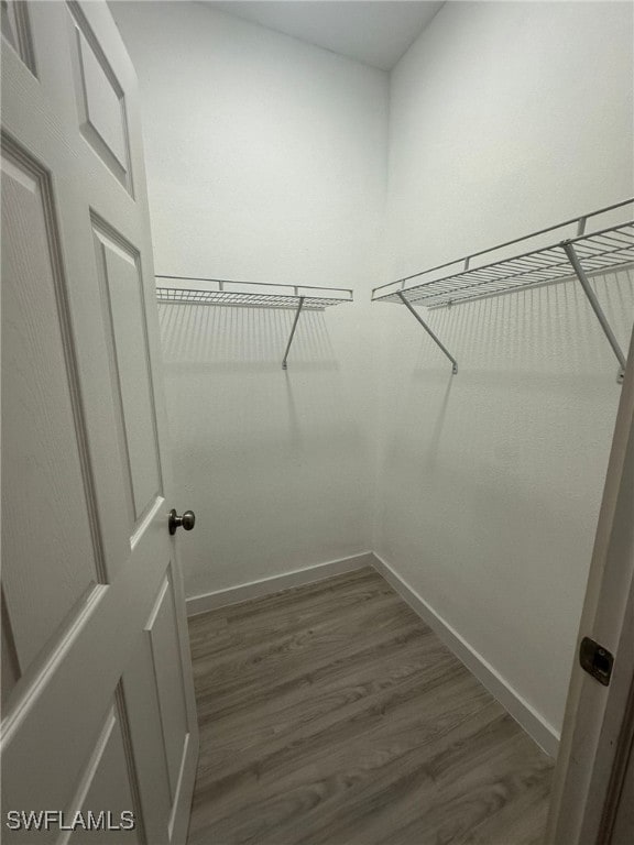 spacious closet with dark hardwood / wood-style floors