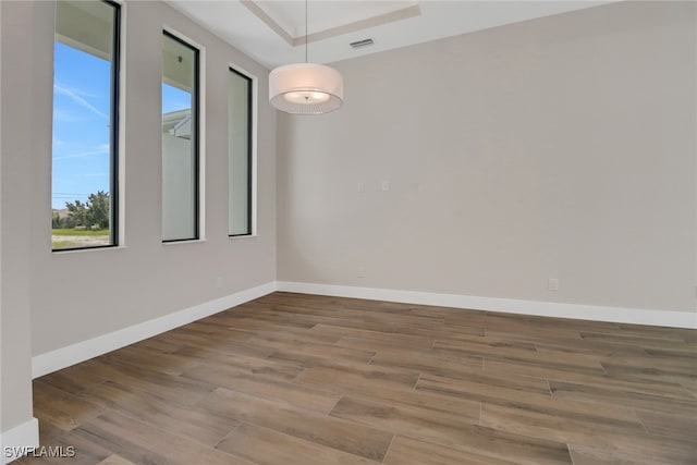 spare room featuring hardwood / wood-style flooring and a raised ceiling