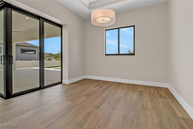 empty room featuring light wood-type flooring