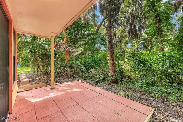 18191 Slater Rd, North Fort Myers, FL 33917 - view of patio