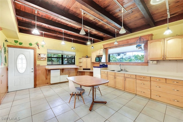 18191 Slater Rd, North Fort Myers, FL 33917 - kitchen featuring light brown cabinets, wooden ceiling, a sink, and a wealth of natural light