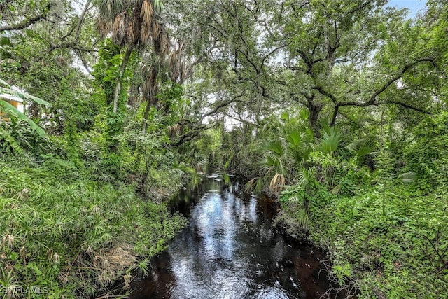 18191 Slater Rd, North Fort Myers, FL 33917 - view of water feature
