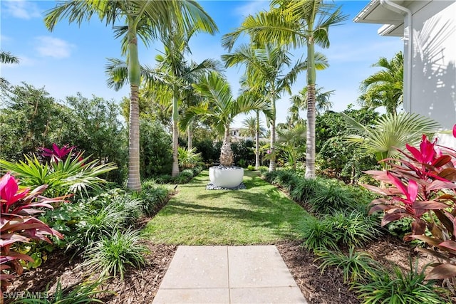4220 Crayton Rd, Naples, FL 34103 - view of green lawn