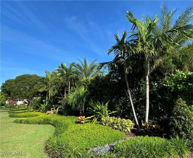 surrounding community featuring a lawn