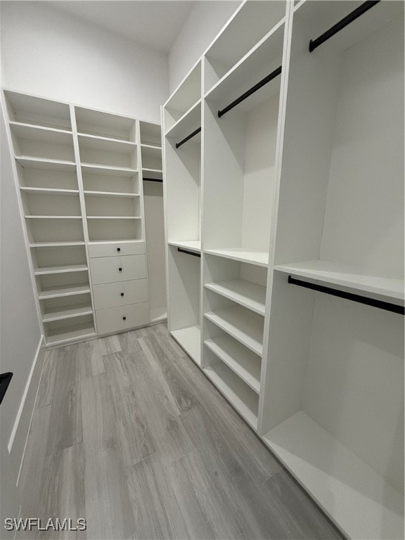 spacious closet with light wood-type flooring