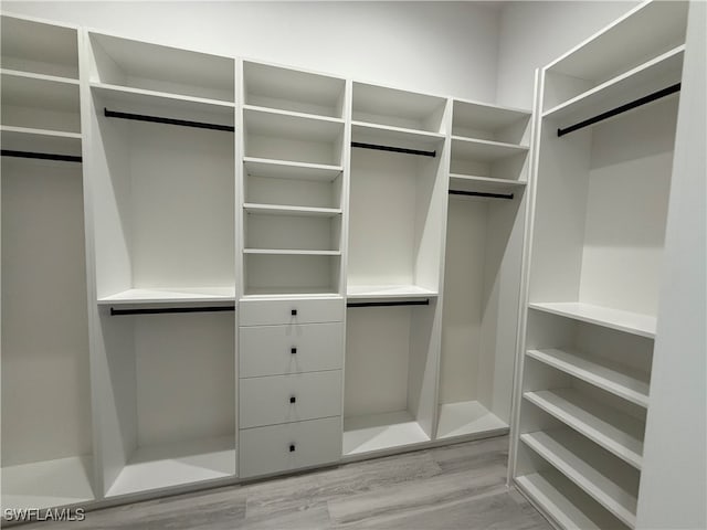 spacious closet with light wood-type flooring