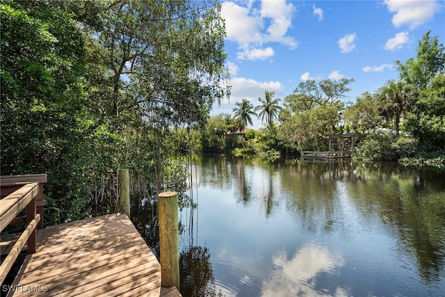 dock area featuring a water view