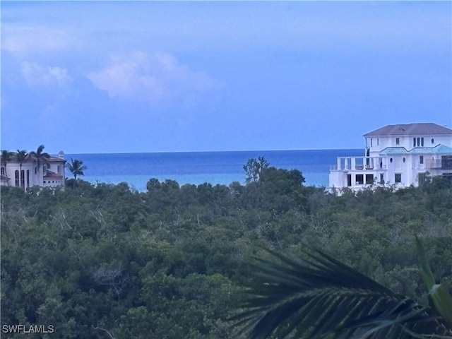7575 Pelican Bay Blvd Unit 403, Naples, FL 34108 - water view featuring a wooded view