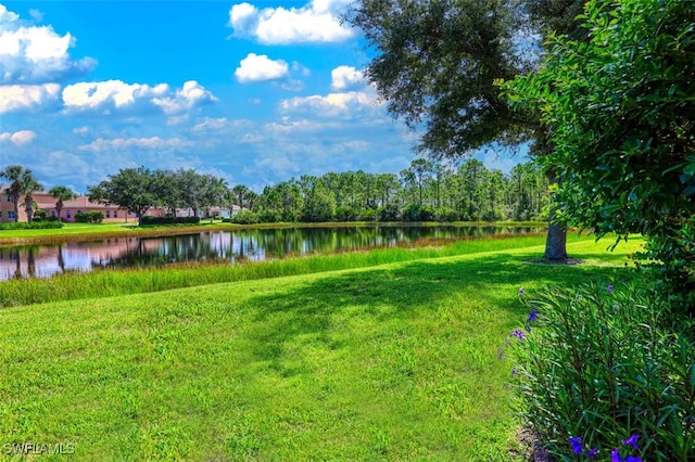 view of yard with a water view