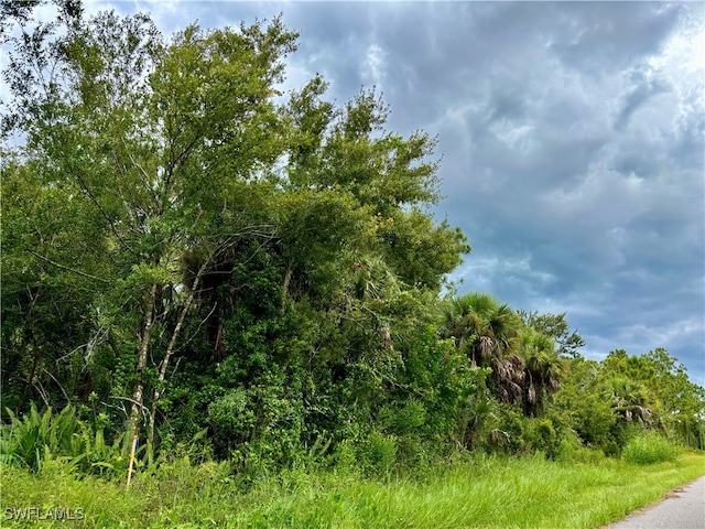 26373 Deer Rd, Punta Gorda FL, 33955 land for sale