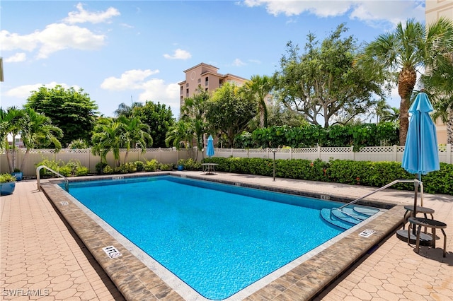 view of swimming pool featuring a patio area