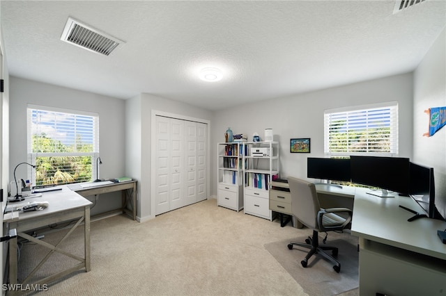 carpeted home office featuring plenty of natural light, a textured ceiling, and visible vents