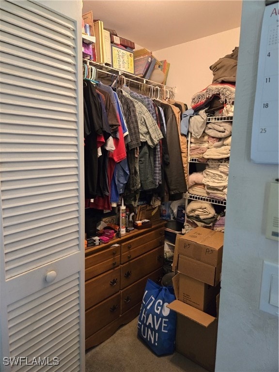 spacious closet featuring carpet flooring