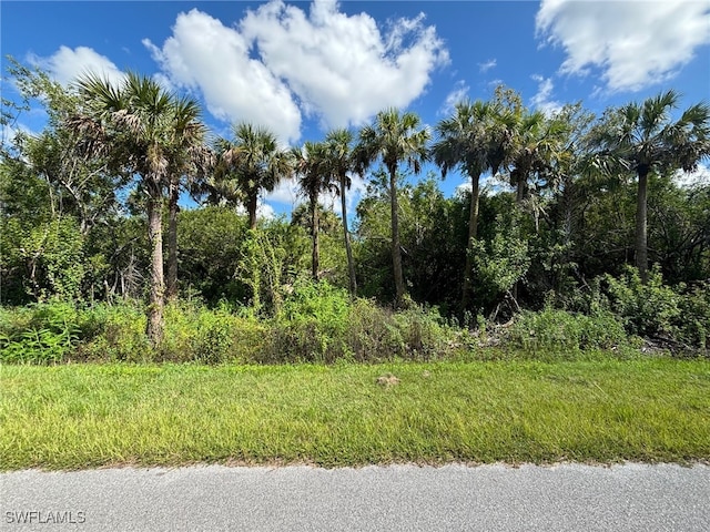 Listing photo 3 for 4681 36th Ave SE, Naples FL 34117