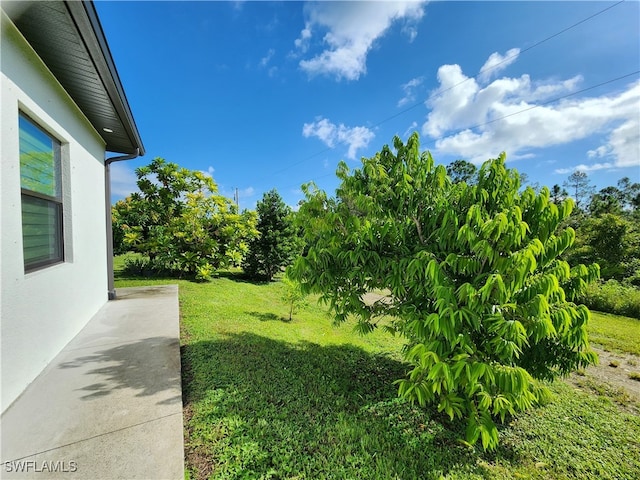 view of yard