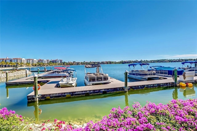 dock area with a water view