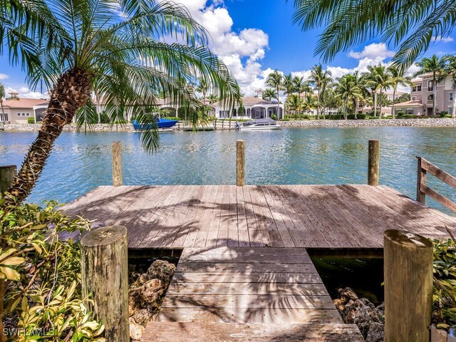 dock area featuring a water view