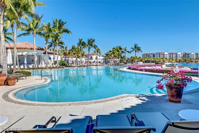 view of swimming pool featuring a patio