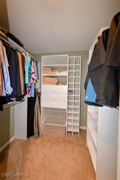 walk in closet featuring light colored carpet