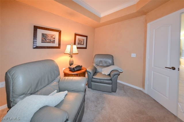 living area featuring a raised ceiling, ornamental molding, and light carpet