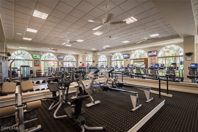 workout area featuring carpet flooring, ceiling fan, and a drop ceiling