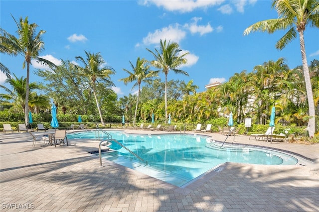 view of swimming pool with a patio area