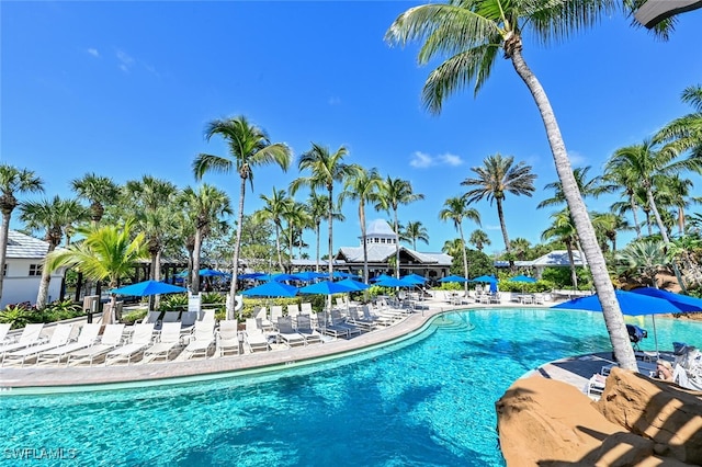 view of swimming pool