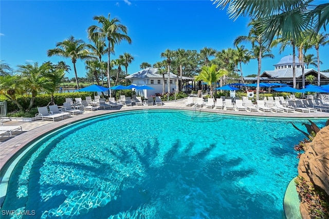 view of swimming pool